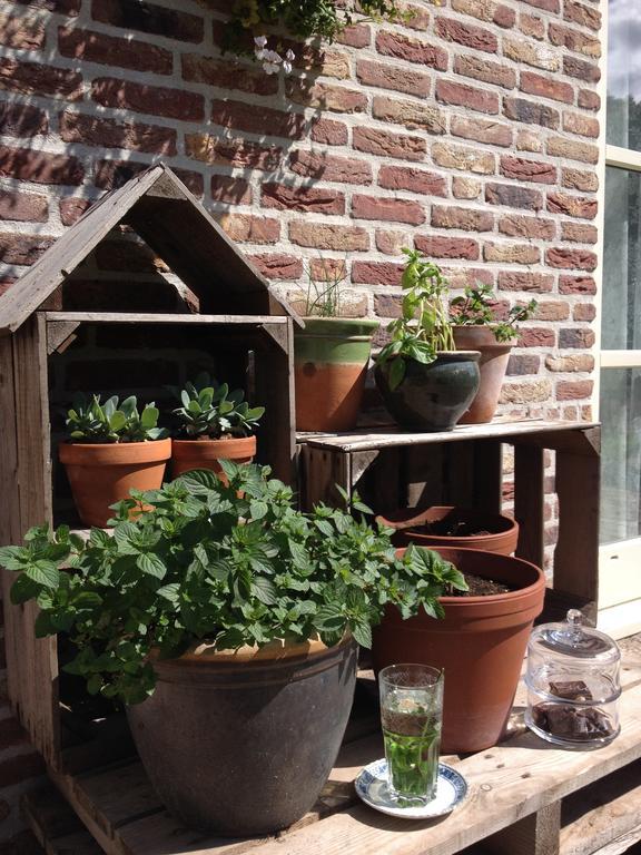 Hof Van Renesse Noordwelle Luaran gambar