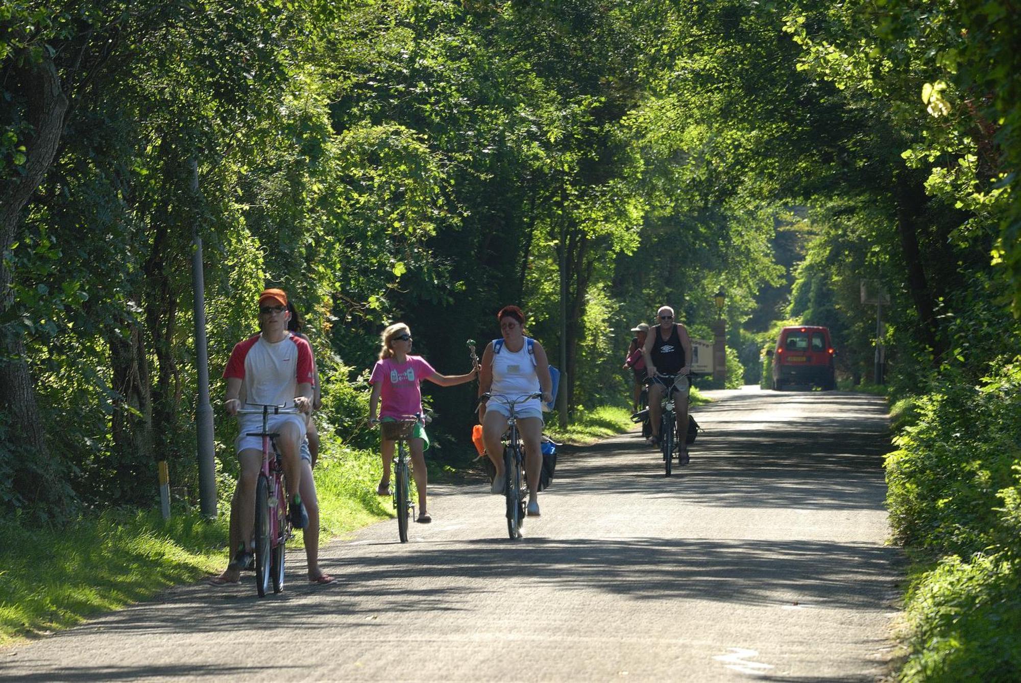 Hof Van Renesse Noordwelle Luaran gambar